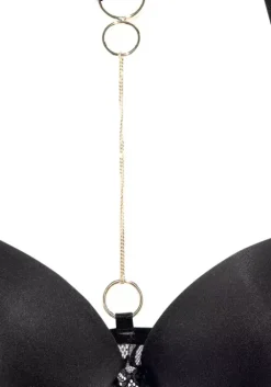 New Push-Up-Bh Reizwasche